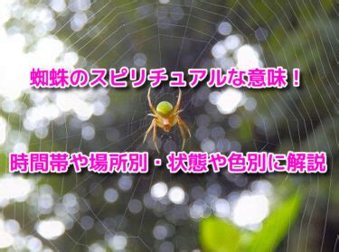 蜘蛛出現意味|【スピリチュアル】蜘蛛が持つ意味やサイン、メッセ…